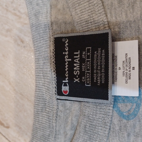 NWT Champion Gray Cropped Tee - Picture 3 of 6